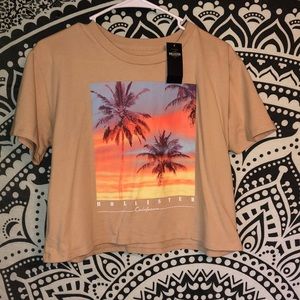 Hollister crop top